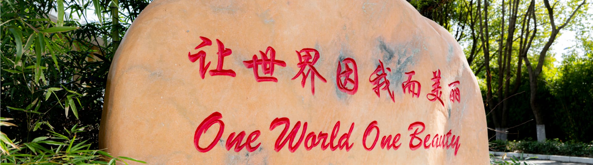 b5banner01.jpg