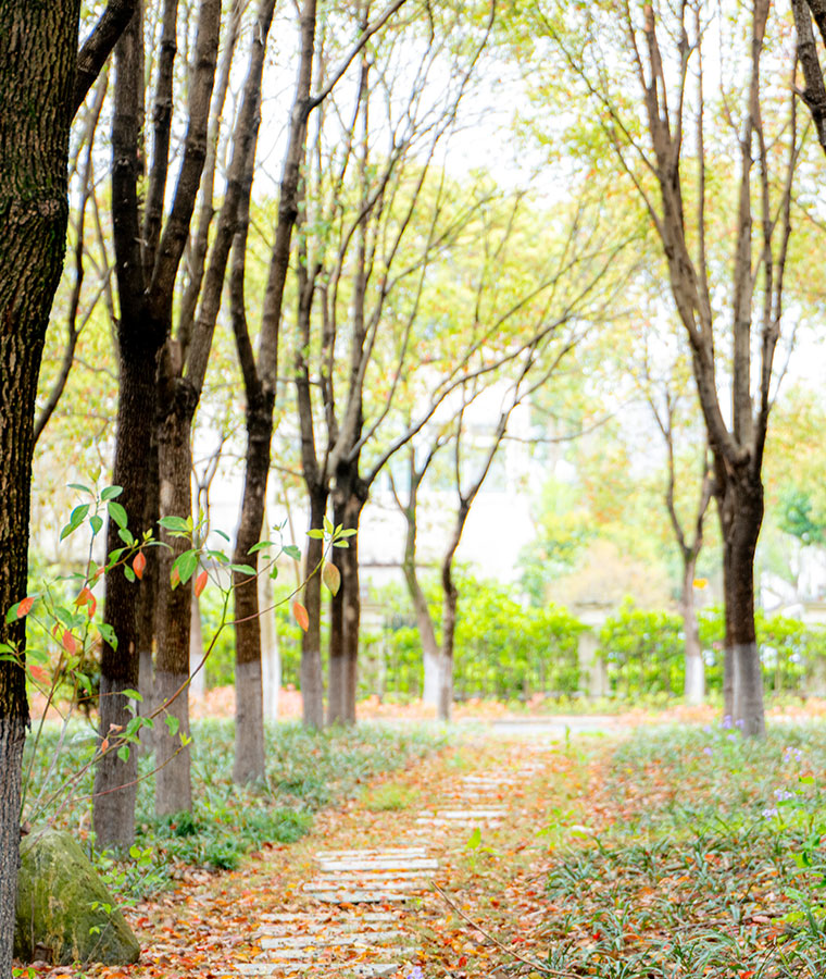 banner2ph.jpg